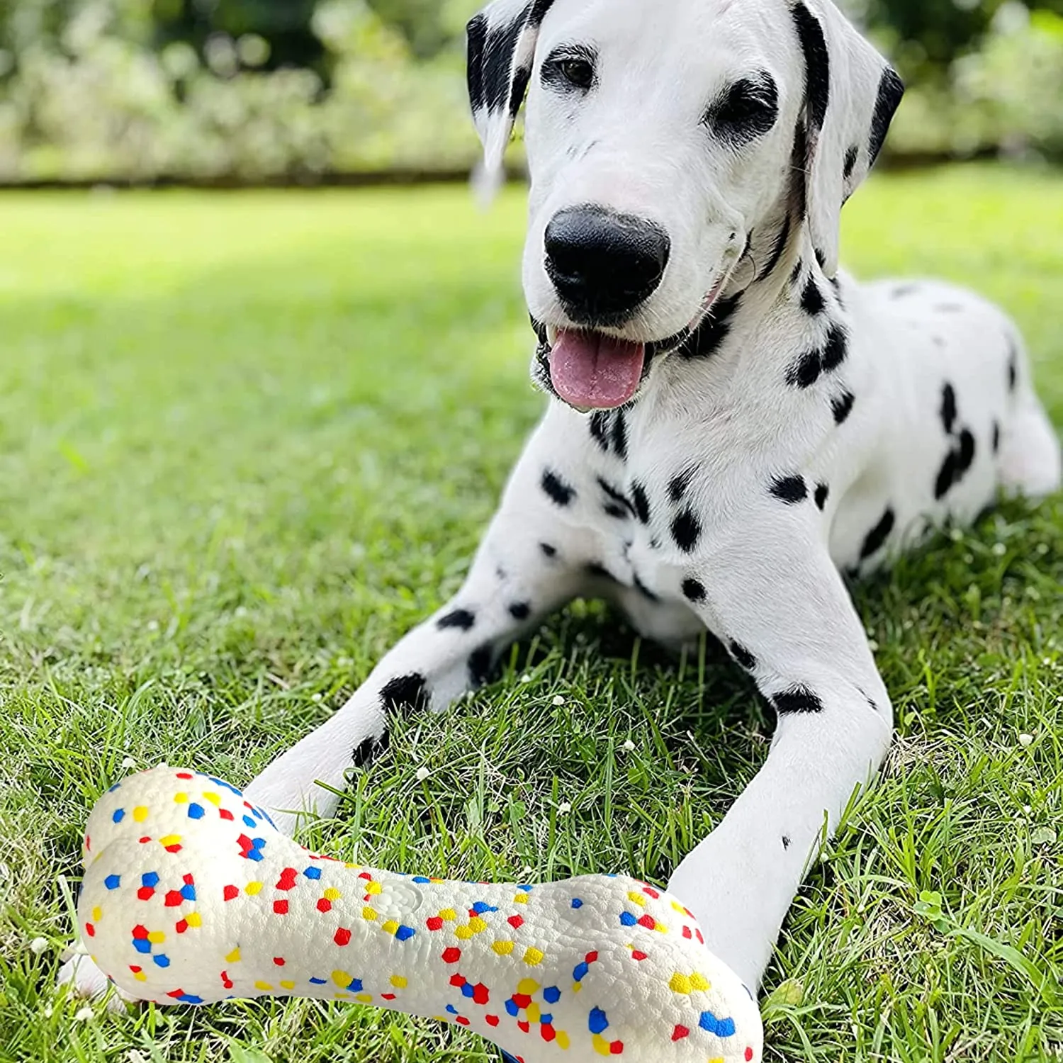 Natural Rubber Pop Chew Toy Bone 26m